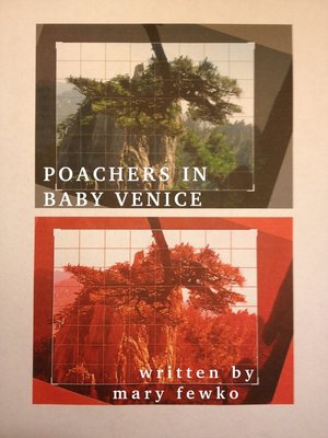cover image of Poachers In Baby Venice